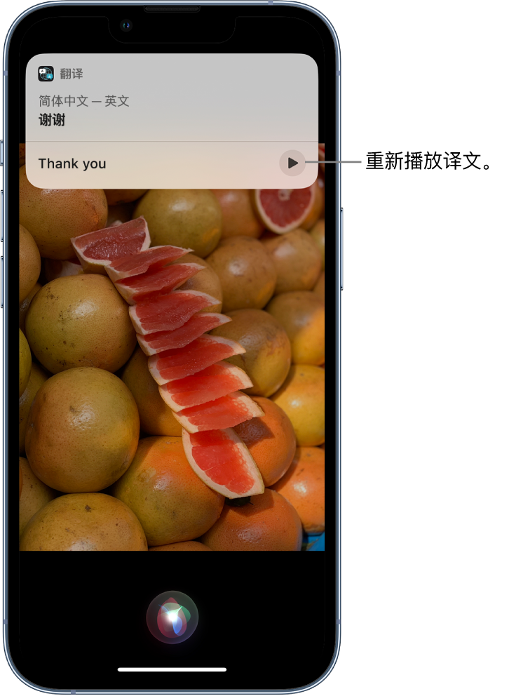 河东苹果14维修分享 iPhone 14 机型中使用 Siri：了解 Siri 能帮你做什么 