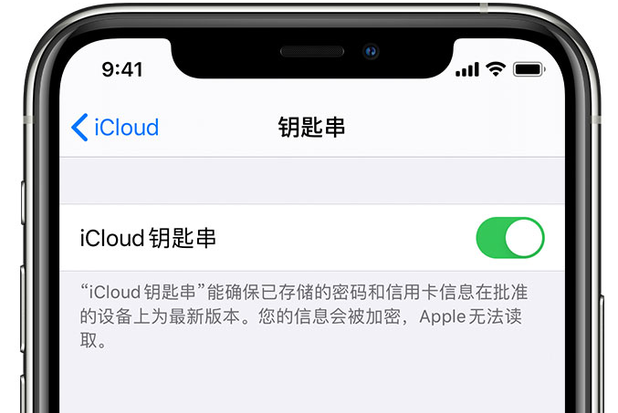 河东苹果手机维修分享在 iPhone 上开启 iCloud 钥匙串之后会储存哪些信息 