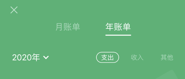 河东苹果手机维修分享如何在 iPhone 上查看支付宝和微信年支出账单 